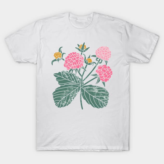 Raspberry T-Shirt by Stolenpencil
